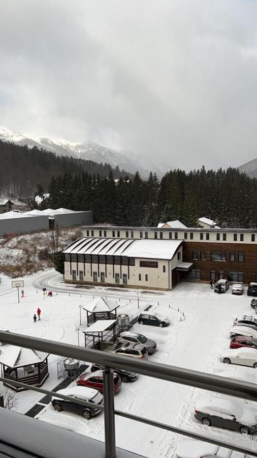 Coca Apart Mountain View Sinaia Exterior foto