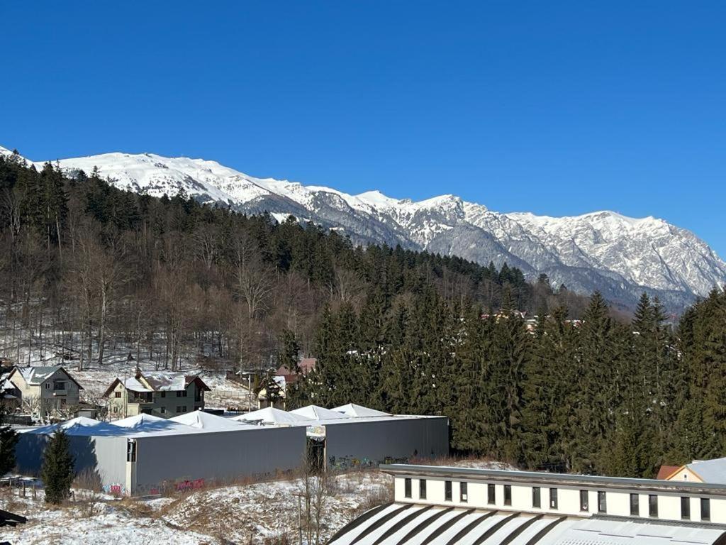 Coca Apart Mountain View Sinaia Exterior foto